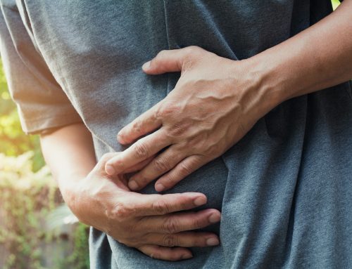 The Surprising Connection Between Gut Health and Bone Density