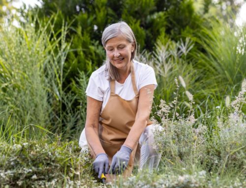 Safe Resistance Exercises for Osteopenia and Osteoporosis